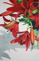 Amaryllis - Watercolor Paintings - By Sarah Bent, Realism Painting Artist