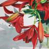 Amaryllis - Watercolor Paintings - By Sarah Bent, Realism Painting Artist