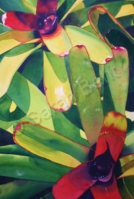 Realism - Bromeliad - Watercolor