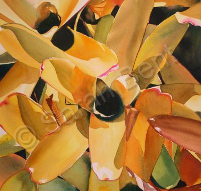 Realism - Bromeliad 2 - Watercolor