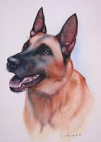 Diesel - Watercolor Paintings - By Sarah Bent, Portrait Painting Artist