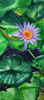 Realism - Lily Pond 2 - Watercolor