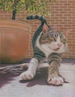 Little Tood - Coloured Pencils On Matte Boar Drawings - By Karen Hull, Realism Drawing Artist