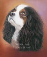 Dogs - Dreamy - Pastels On Pastelmat