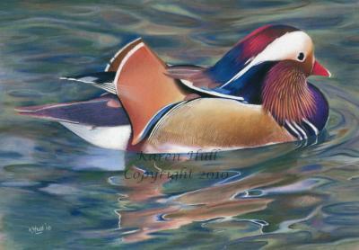 Wildlife - Natures Palette - Pastels On Pastelmat