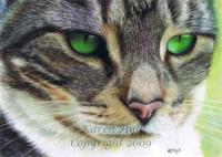 Emerald Eyes - Graphite Pencil On Drafting Fi Drawings - By Karen Hull, Realism Drawing Artist