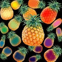 Food - Pineapple Jam - Digital