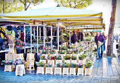 Uniquely Dutch - Early Morning Flower Market Scene In Hengelo - Digital