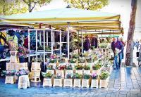 Early Morning Flower Market Scene In Hengelo - Digital Photography - By Yvette Efteland, Realism Photography Artist