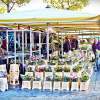 Early Morning Flower Market Scene In Hengelo - Digital Photography - By Yvette Efteland, Realism Photography Artist