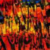 2314 - Oil Painting Paintings - By Scott Shaver, Abstract Painting Artist