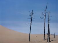 Trees And Dune - Original Cibachrome Photograph Photography - By Scott Shaver, Minimalism Photography Artist