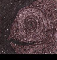 Fish In The Void - Black Marker On Waxed Cardboar Drawings - By Bert Davis, Abstract Realism Drawing Artist