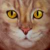 Chalk - Neli Skoric - Realisam Painting Artist
