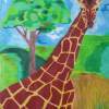 Giraffe - Pencil Drawings - By Tina Polo, Realistic Drawing Artist