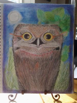 New Dawn - Owlet - Pencil