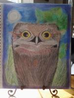 Owlet - Pencil Drawings - By Tina Polo, Surrealism Drawing Artist