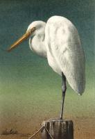 Long Egret - Transparent Watercolor Paintings - By Michael J. Weber Aws, Realistic Painting Artist