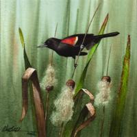 Original Watercolor - Red Wing Black Bird 2 - Transparent Watercolor