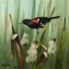 Red Wing Black Bird 2 - Transparent Watercolor Paintings - By Michael J. Weber Aws, Realistic Painting Artist