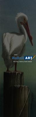 Original Watercolor - White Pelican - Transparent Watercolor