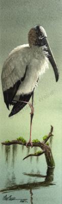 Original Watercolor - Wood Stork - Transparent Watercolor