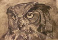 Owl Portrait - Charcoal Pencil On Paper Drawings - By Sean King, Portraits Drawing Artist