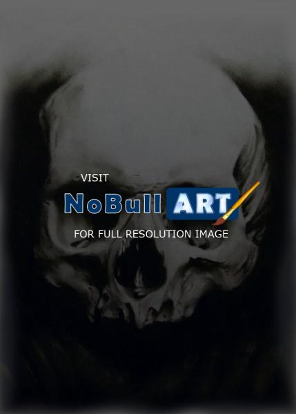 Charcoals - Skull - Charcoal Pencil On Paper