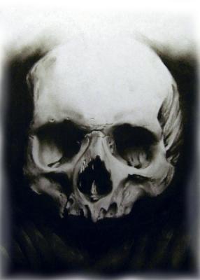 Charcoals - Skull - Charcoal Pencil On Paper