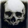 Skull - Charcoal Pencil On Paper Drawings - By Sean King, Realism Drawing Artist