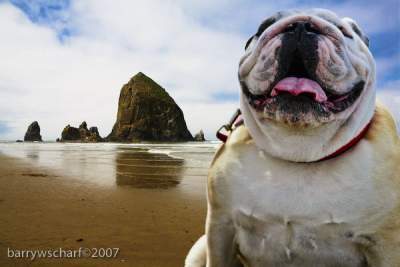 Digital Photography - Canon Beach Series 4 - Digital Print