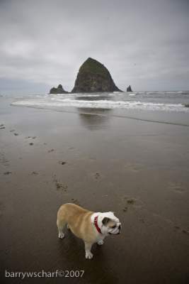 Digital Photography - Canon Beach Series 5 - Digital Print