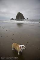 Canon Beach Series 5 - Digital Print Photography - By Barry Scharf, Realism Photography Artist