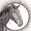 Dark Horse - Pencil And Paper Drawings - By Ronald Tomlin, Pencil Drawing Artist