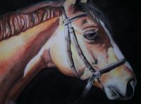 Easin Up - Contecharcoal Drawings - By Diane Chilson, Realism Drawing Artist