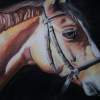 Easin Up - Contecharcoal Drawings - By Diane Chilson, Realism Drawing Artist