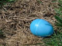 Photography - Easter Egg - Camera