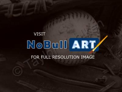 Photography - Softball - Camera