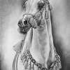 Native Costume - Graphite Drawings - By Maria Dangelo, Realistic Drawing Artist