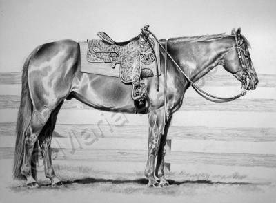 Equine - Ready And Waiting - Graphite