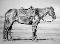 Ready And Waiting - Graphite Drawings - By Maria Dangelo, Realistic Drawing Artist