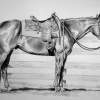 Ready And Waiting - Graphite Drawings - By Maria Dangelo, Realistic Drawing Artist