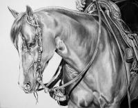 Trail Time - Graphite Drawings - By Maria Dangelo, Realistic Drawing Artist