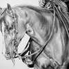 Trail Time - Graphite Drawings - By Maria Dangelo, Realistic Drawing Artist