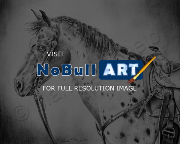 Equine - Thunder - Graphite