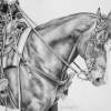 Backup - Graphite Drawings - By Maria Dangelo, Realistic Drawing Artist