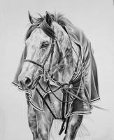 Equine - Back To The Barn - Graphite