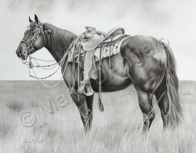 Equine - Dixons Skip A Rock - Graphite