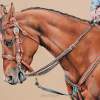 Turquoise - Colored Pencil Drawings - By Maria Dangelo, Realistic Drawing Artist
