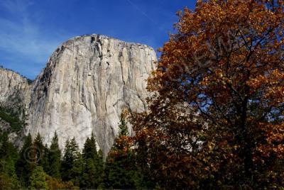 Special Places - Majestic Yosemite - Digital Giclee